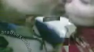 Αυτές οι σκύλες απλώς τριγυρνούν περιμένοντας να εμφανιστούν οι μπαμπάδες τους