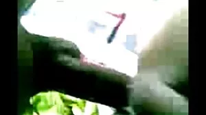Λίλι στιλ
