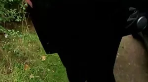 Ακόμα ένας ηλίθιος παγιδευμένος και σκασμένος - Busty Stepmoms